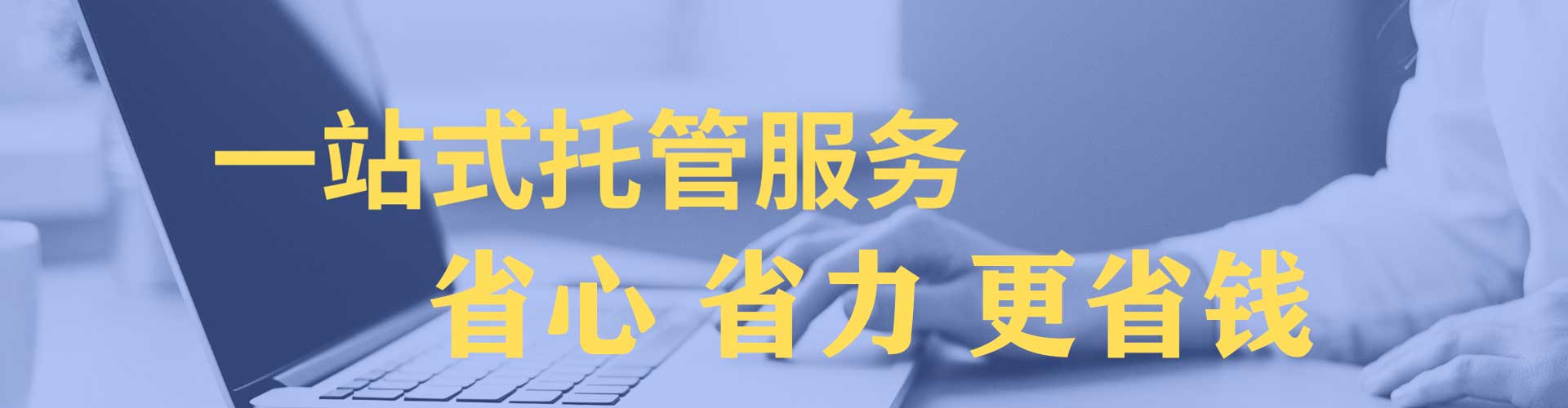 金林百度竞价包年